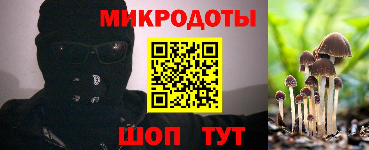 Галлюциногенные грибы Psilocybe Татарск